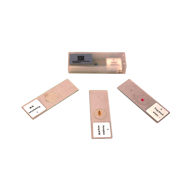 5 Prepared Microscope Slides Specimen Set, Plant and Animal Cells, SKU SL39901002, three quarter front view