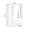 100mm/100 Div Comparison Test Gauge, SKU RT02420410, three quarter front view