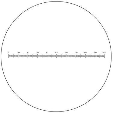 Microscope Eyepiece Reticle Linear Scale Micrometer Ruler Dia. 24mm, 10mm/200 Div.