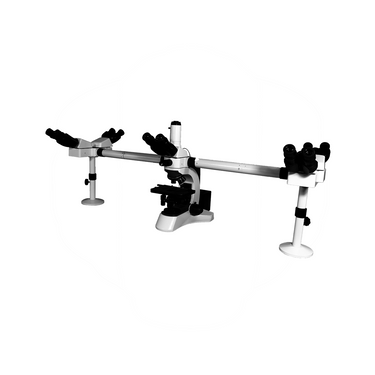 40X-1000X Five Head Multiview Teaching Biological Compound Microscope, Trinocular, LED Light, SKU BM13010533, three quarter front view