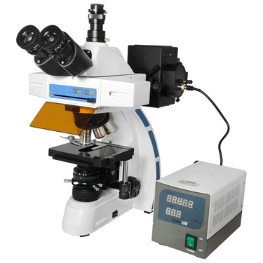 40X-1000X Fluorescence Microscope, Trinocular, Dual Light MH, Plan Fluor Semi-Apochromatic Objectives, SKU FM05100303, three quarter front view