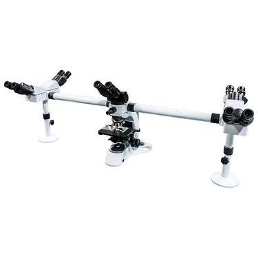 40-1000X LED Coaxial Transmitted Light Number of Microscope Head Quintuple Heads XY Stage Travel Distance 75x50mm 5-Head Viewing Teaching Compound Microscope, SKU BM13010553, three quarter front view