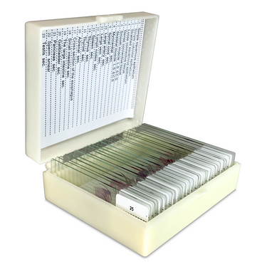 25 Prepared Microscope Slides Specimen Set, Human Anatomy Organ Tissue Cells