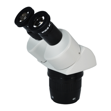 20X/40X Dual Power Stereo Microscope Head, Binocular, Focusable Eyepiece, SKU FS05031321, three quarter front view