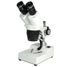 20X/40X Widefield Stereo Microscope, Binocular, Post Stand, LED Top Light (360° Rotatable Head), SKU FS12120329, three quarter front view