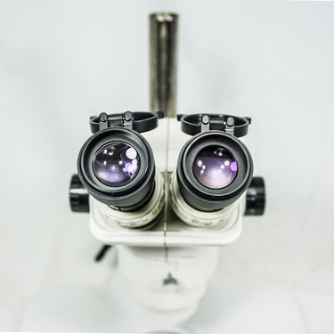 Transparent Plastic Cover Eyepiece Dust Cover(Pair Dia. 36mm) MA02025221