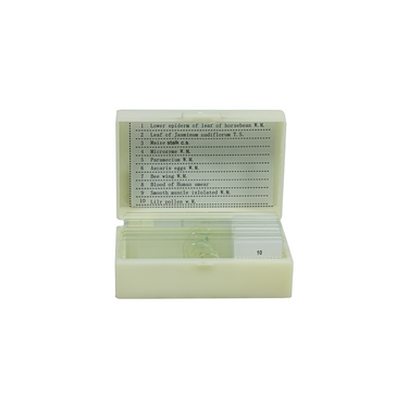 10 Prepared Microscope Slides Specimen Set, Plant Animal Human Anatomy Cells