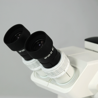 WF 10X Widefield Microscope Eyepieces, High Eyepoint, 30mm, FOV 22mm (Pair)