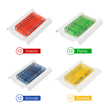 48 Pcs Kids Plastic Prepared Microscope Slides Samples (Animals Insects Plants Flowers)