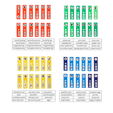 48 Pcs Kids Plastic Prepared Microscope Slides Samples (Animals Insects Plants Flowers)