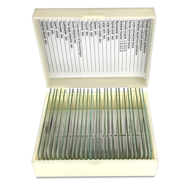 25 Prepared Microscope Slides Specimen Set, Human Anatomy Organ Tissue Cells