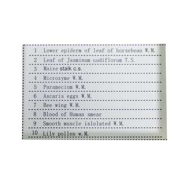 10 Prepared Microscope Slides Specimen Set, Plant Animal Human Anatomy Cells