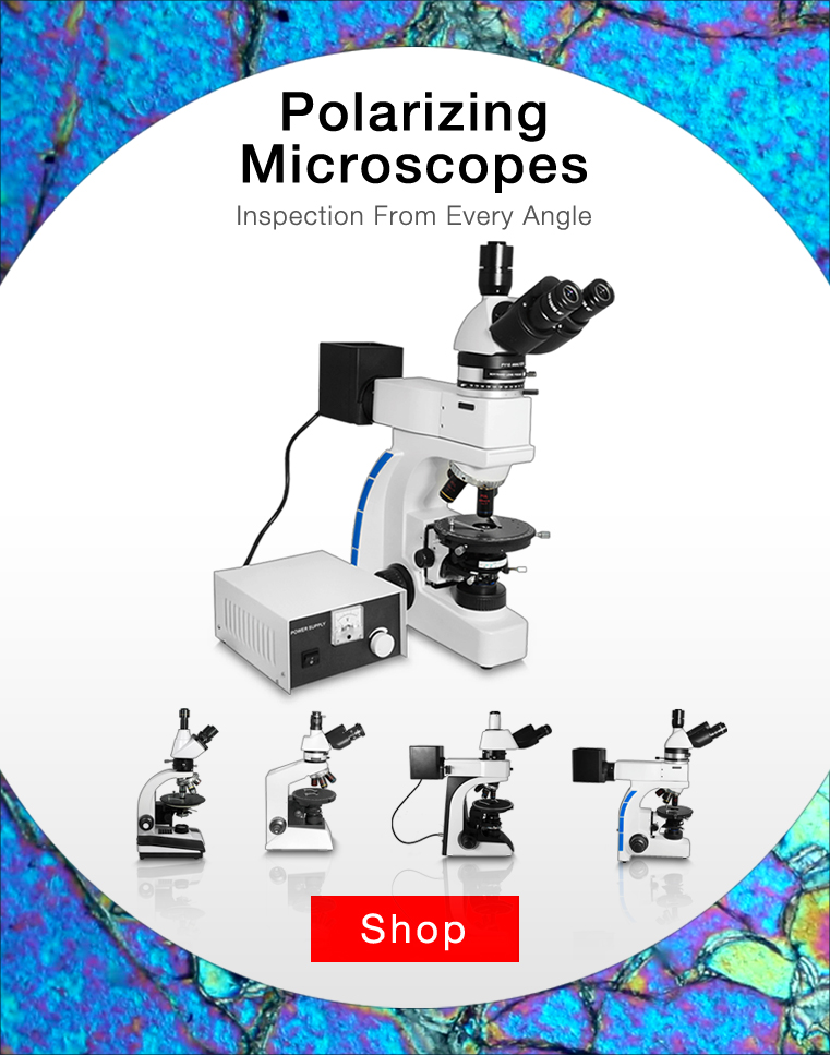 Microscope Store 1 Microscope Retailer Boli Optics